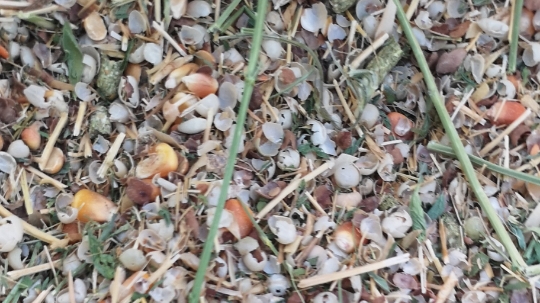 تصویر کاور