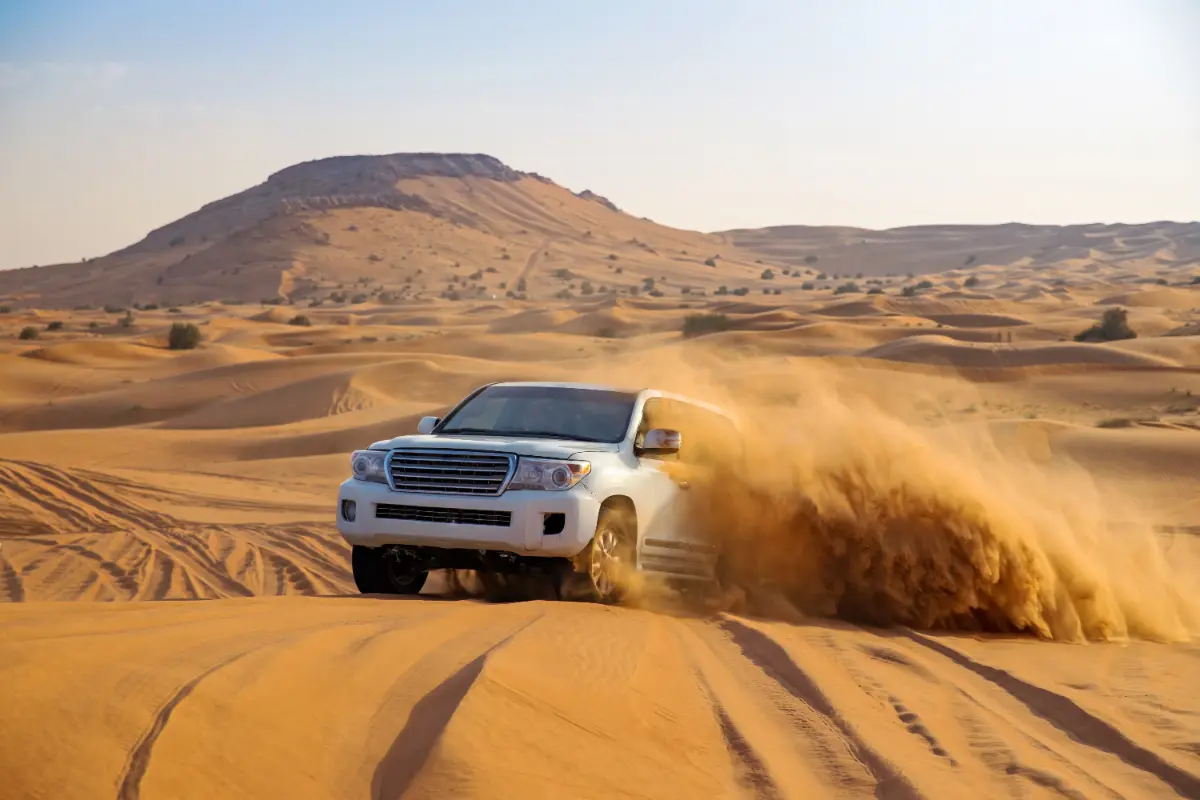 Safari a Dubai: esperienza di emozione e avventura nel cuore del deserto