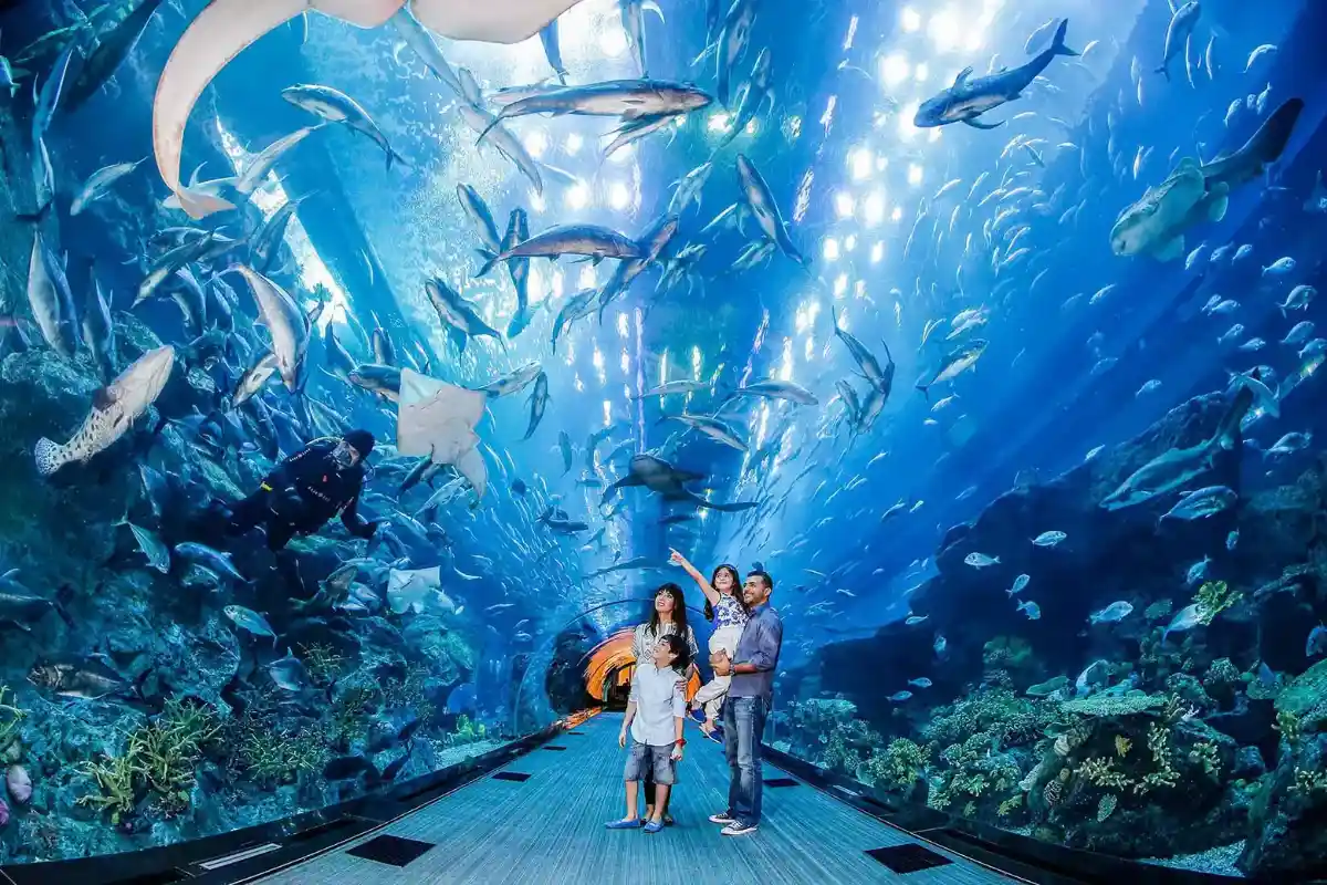 Standort und einfacher Zugang zum Dubai Aquarium