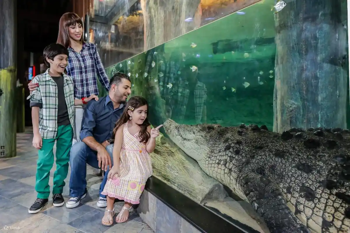 Aquarium- und Unterwasser-Zoo-Einrichtungen