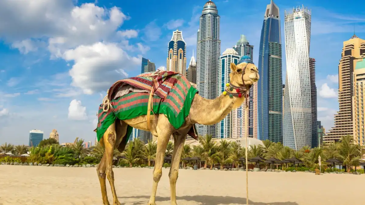 Überprüfung des Zielorts in Dubai